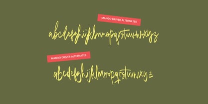 Mango Driver Brush Font Poster 3