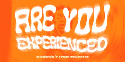 Funky Winky Font Poster 6