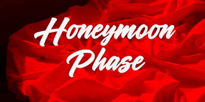 Monaleya Font Poster 7