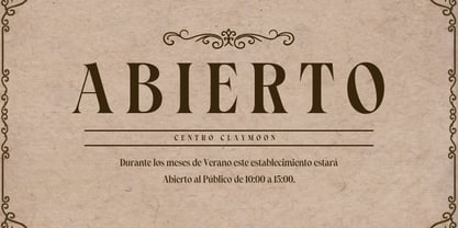 Claymoon Serif Font Poster 7