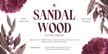Claymoon Serif Font Poster 6