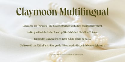 Claymoon Serif Font Poster 3