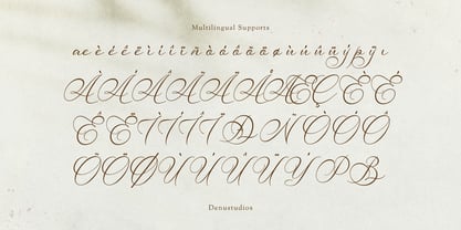 Van Marigella Font Poster 11