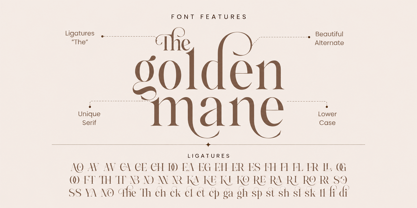 The Rokvella Font Poster 14