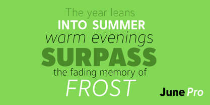 June Pro Font Poster 3