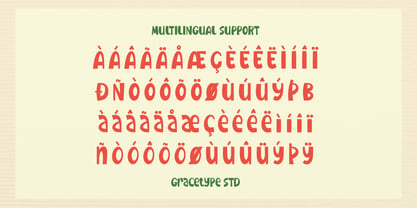 Funny Tomato Font Poster 11