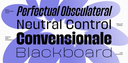 Spanik Font Poster 5