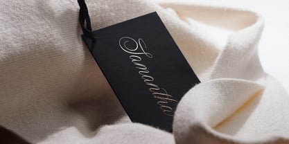 Wistallion Font Poster 7