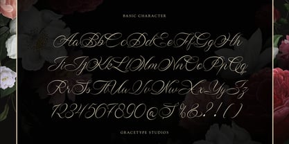 Wistallion Font Poster 10