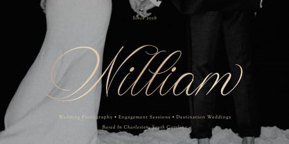 Wistallion Font Poster 5