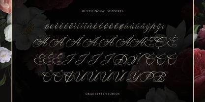 Wistallion Font Poster 11