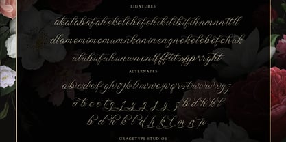 Wistallion Font Poster 12