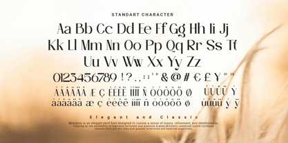 Miozacty Font Poster 3