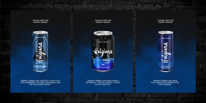 Holgiona Font Poster 10