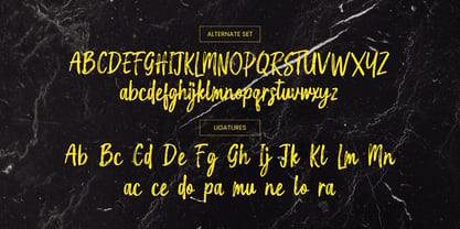 Holgiona Font Poster 13