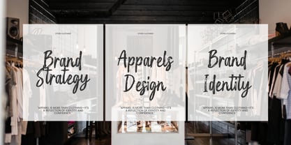 Holgiona Font Poster 4