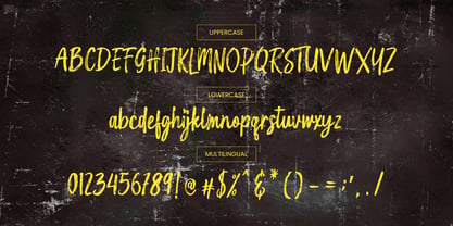 Holgiona Font Poster 14