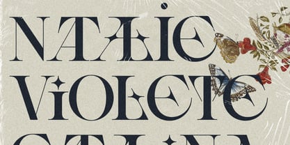 SLTF Spanish Archer Font Poster 11