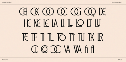 Veloster Font Poster 9