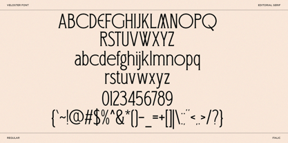 Veloster Font Poster 10