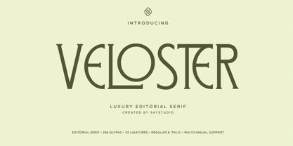 Veloster Font Poster 1