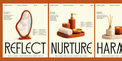 Veloster Font Poster 3