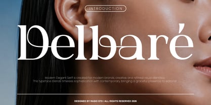 Delbare Font Poster 1