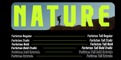 Forluten Font Poster 6