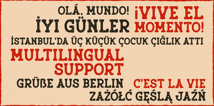 Rusty Press Font Poster 7