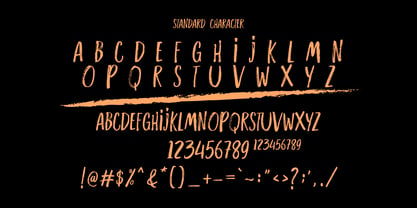 Sign of Power Font Poster 15