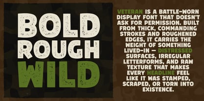 Veteran Font Poster 2