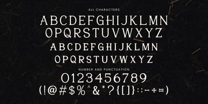 Kenviel Font Poster 4