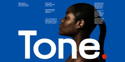 Elderino Font Poster 5