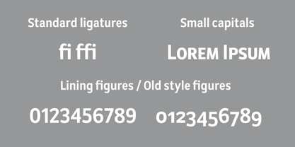 AC Texto Pro Font Poster 15