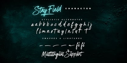 MLTP Stay Field Font Poster 9