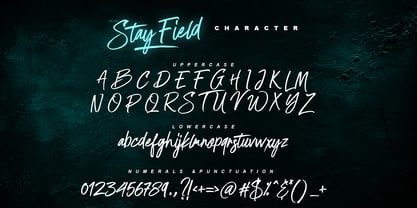 MLTP Stay Field Font Poster 8