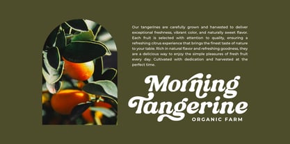 Bremlin Font Poster 15