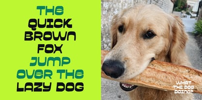 Garpit Font Poster 8