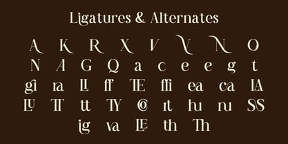 Qogua Font Poster 8