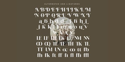 Focliv Font Poster 6
