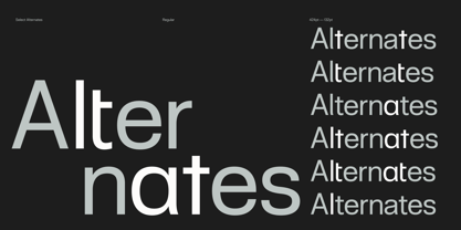Skipton Font Poster 17