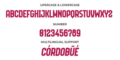 Valdavia Font Poster 6