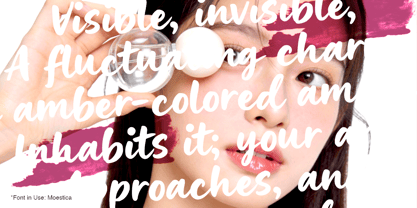 Moestica Font Poster 9