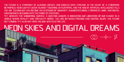 Dashcore Font Poster 6