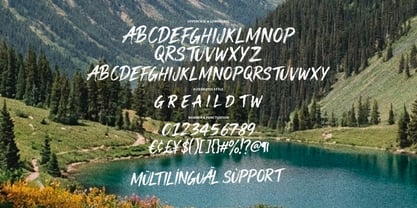 MC Greatwild Font Poster 6