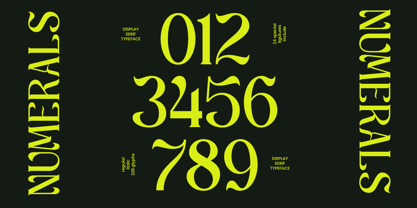 Churasi Font Poster 9