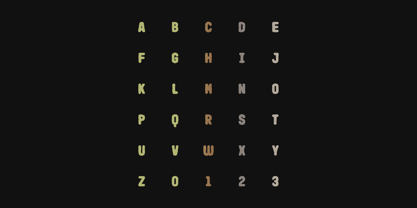 Wooldog Font Poster 13