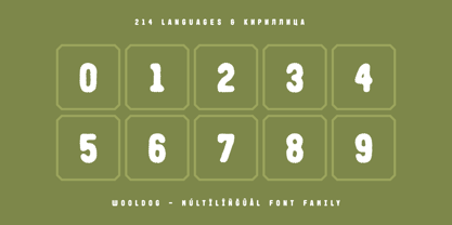 Wooldog Font Poster 14