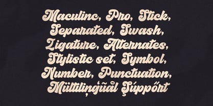 Maculinc Script Font Poster 3