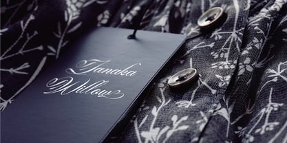 Finytaels Font Poster 9